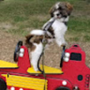 Meet your Posher, Alexia